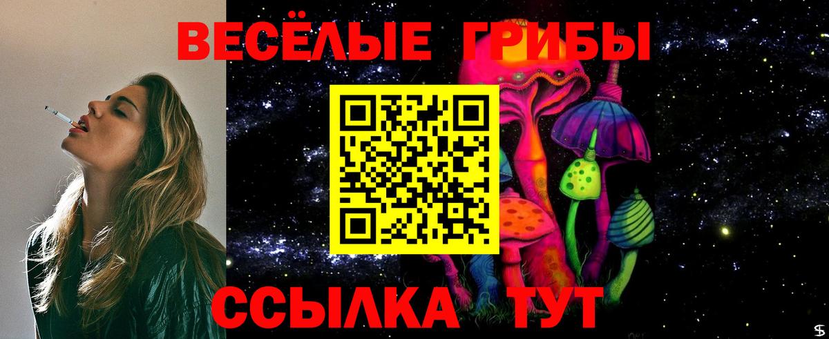 Галлюциногенные грибы MAGIC MUSHROOMS  Вход с VPN  купить наркотик  Галлюциногенные грибы мицелий  Симферополь 